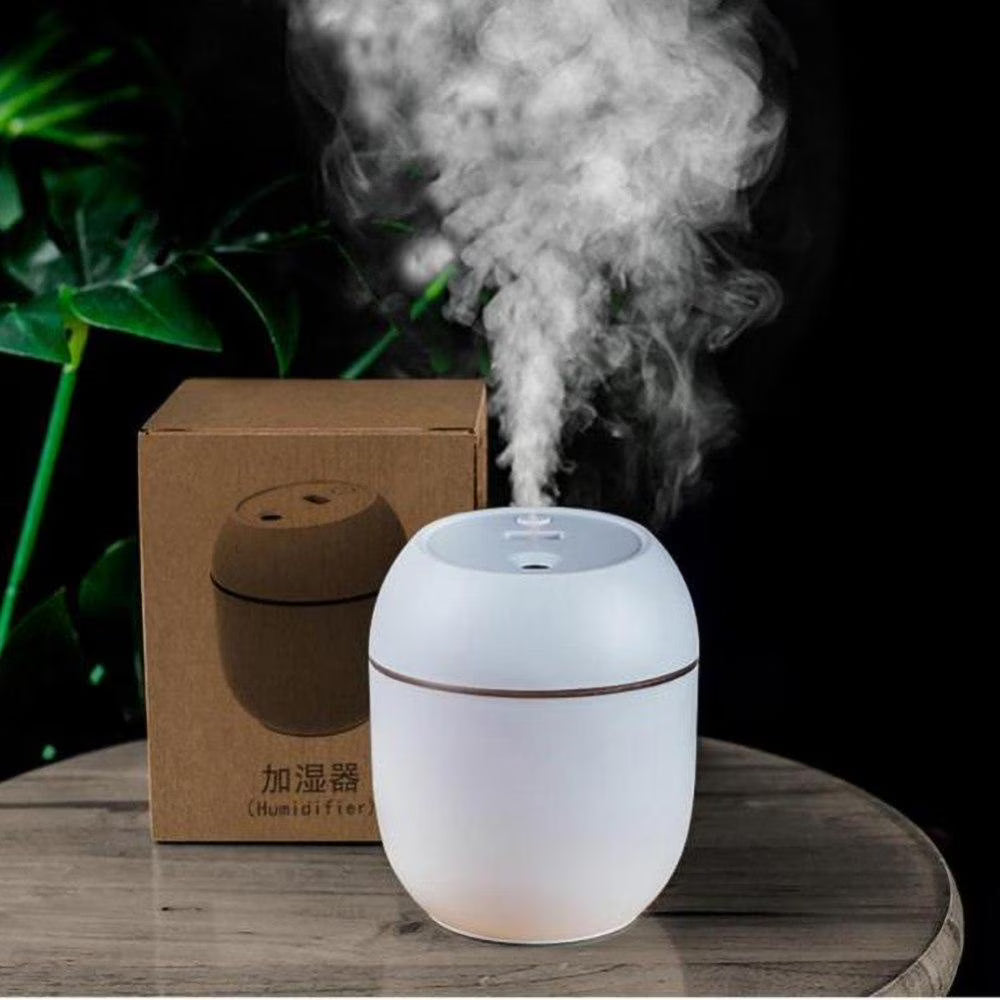 Mini 250 ml USB Ultrasonic Humidifier